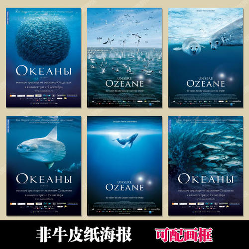 办假的上环证明